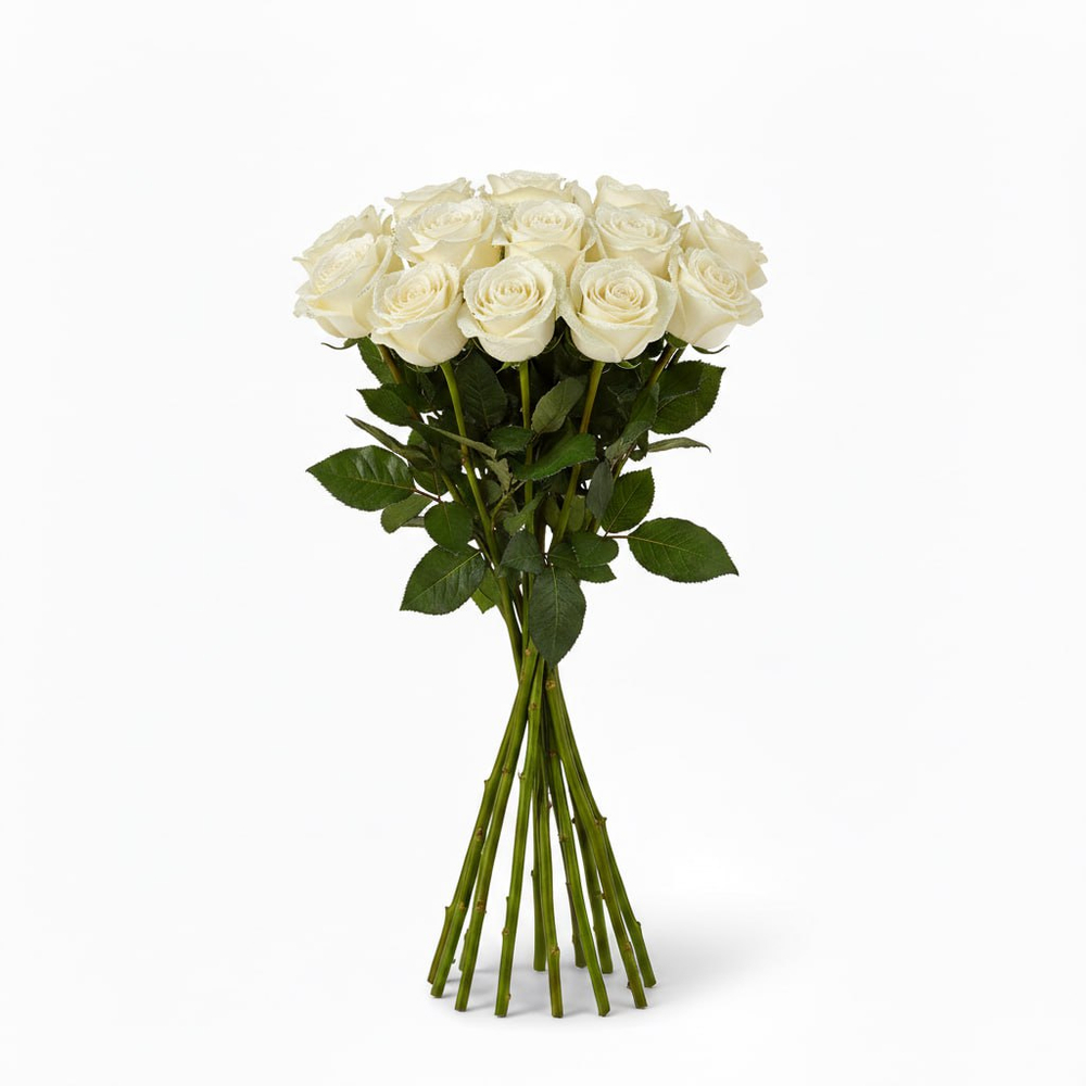 Розы "Эквадор" белые