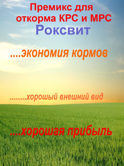 премикс для откорма крс и мрс
