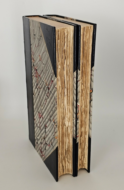 "По Северо-Западу России". К. К. Случевский. 1897г.