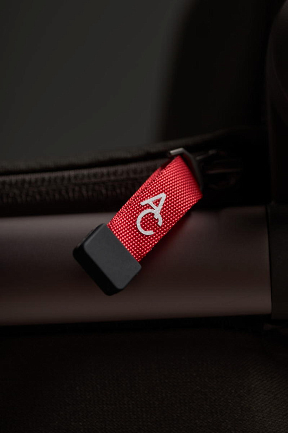 Детская коляска Anex Flo 2 в 1 Cesar