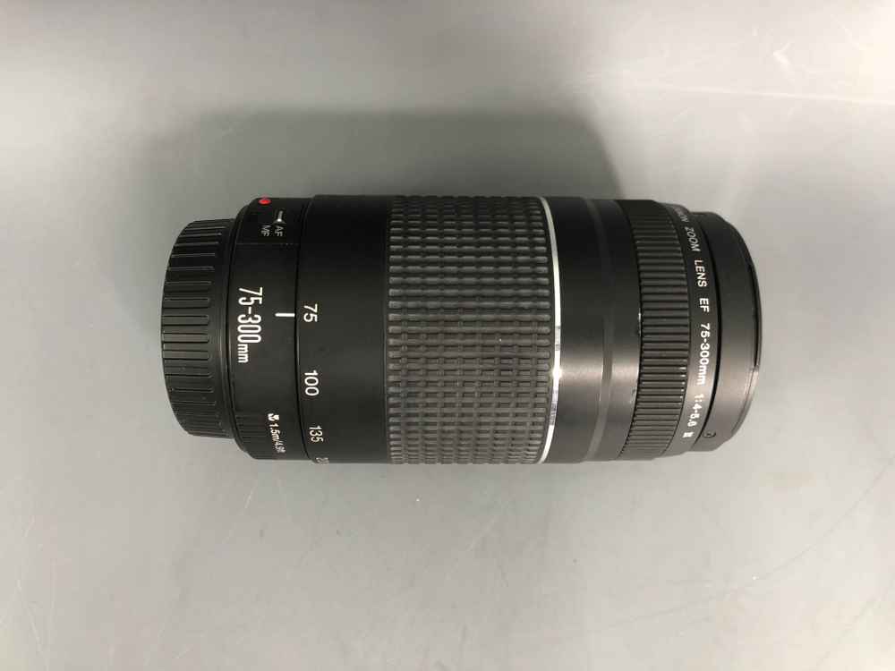 Canon EF 75-300mm 4-5.6 III