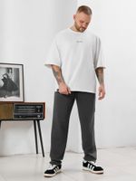 Брюки мужские Акс Виотекс ГРАФИТОВЫЙ