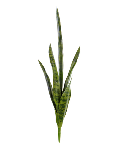 Сансевиерия куст (2 цвета)