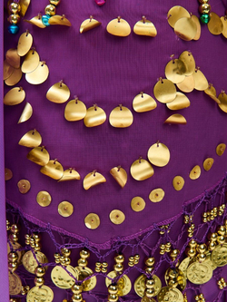 Костюм для восточных танцев Шахерезады 4 предмета Новый год