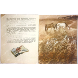 Паустовский К. Заботливый цветок.  М., Изд. Малыш, 1982 г.