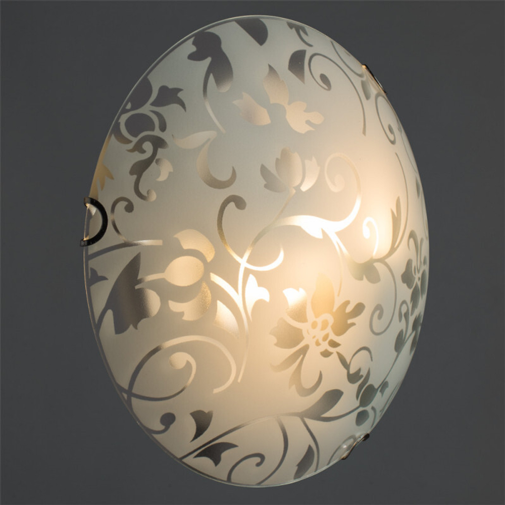 Накладной светильник Arte Lamp A4120PL-2CC