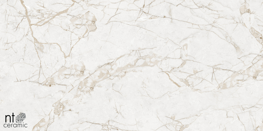 Керамогранит Impero Grey Carving NTT99519M 600*1200 матовая/карвинг