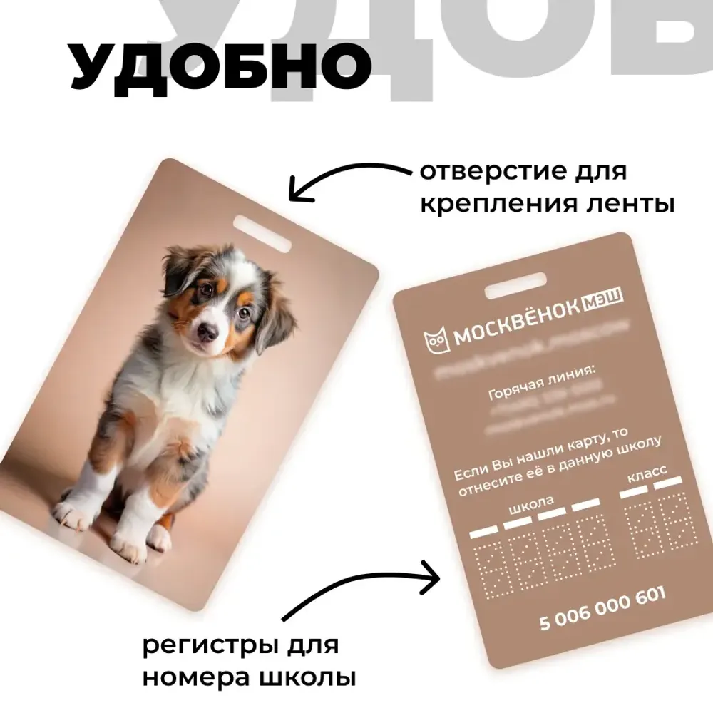 Карта Москвёнок DOGS №3 (проход + питание)