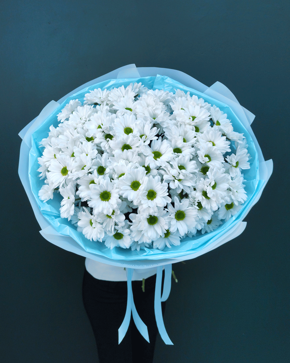 Кустовая хризантема Ромашка,15шт(00447)