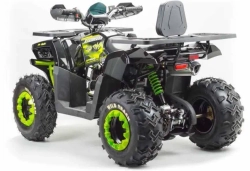Квадроцикл Motoland 200 WILD TRACK LUX A