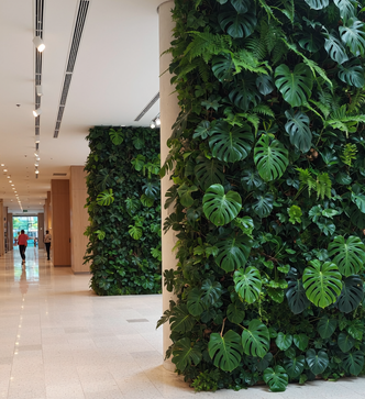 Вертикальное озеленение