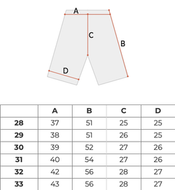 Шорты мужские Dickies Duck Canvas Stone Washed Short