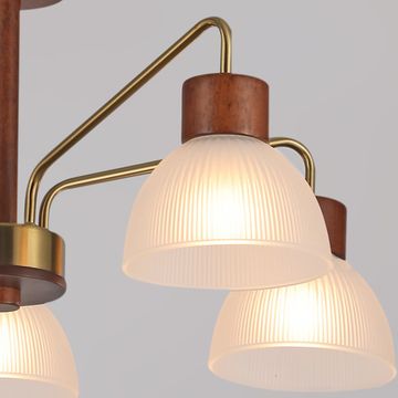 IL0286-5C-79 BR светильник потолочный