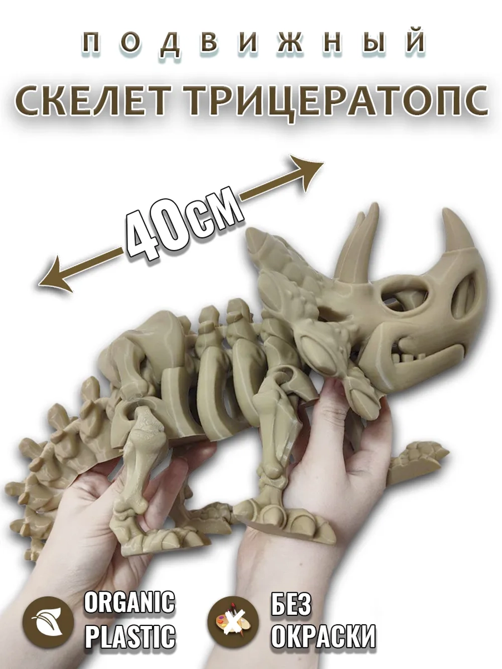 Большой Скелет Динозавр