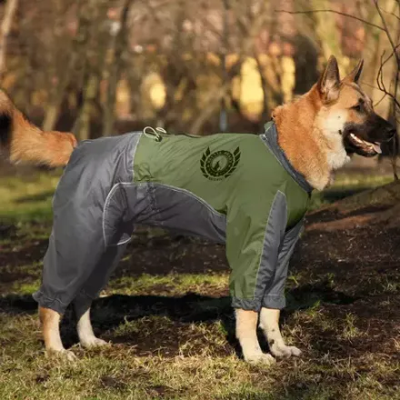 Комбинезон для собак Brutal heart вырез на мальчика хаки серый White wolf