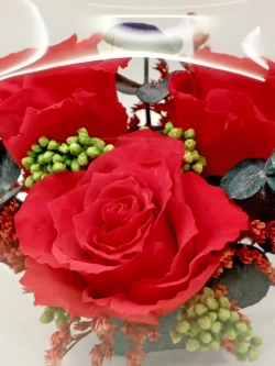 натуральные кустовые розы в стекле, вакуум