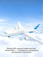 3Д Конструктор Боинг 787