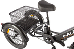 Трицикл GREEN CITY e-ALFA Trike