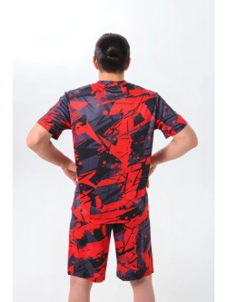 Костюм компрессионный шорты и футболка для тренировок