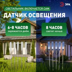 Светильник уличный ЭРА ERASF23-13 Камыши на солнечной батарее садовый высота 60 см 5 шт 5 LED