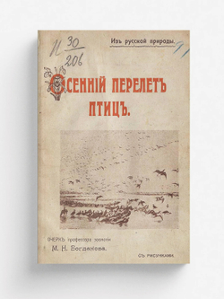 Осенний перелет птиц | Богданов Модест Николаевич