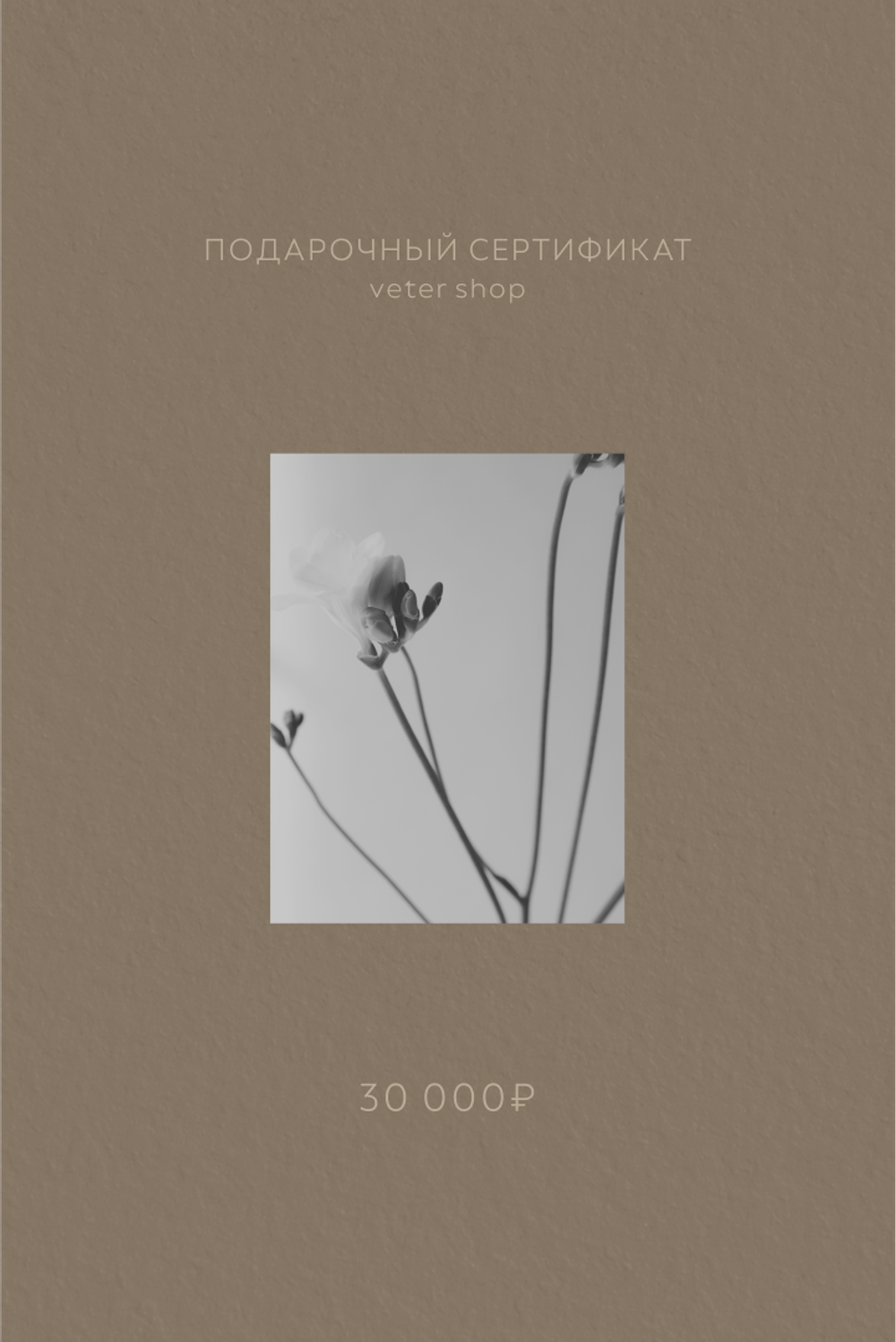 Подарочный сертификат на 30,000 рублей