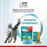 Курица с морковью, 75г влажный корм для домашних кошек, Purina ONE