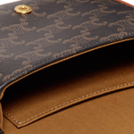 Сумка CELINE Besace, 196702BZJ-04LU