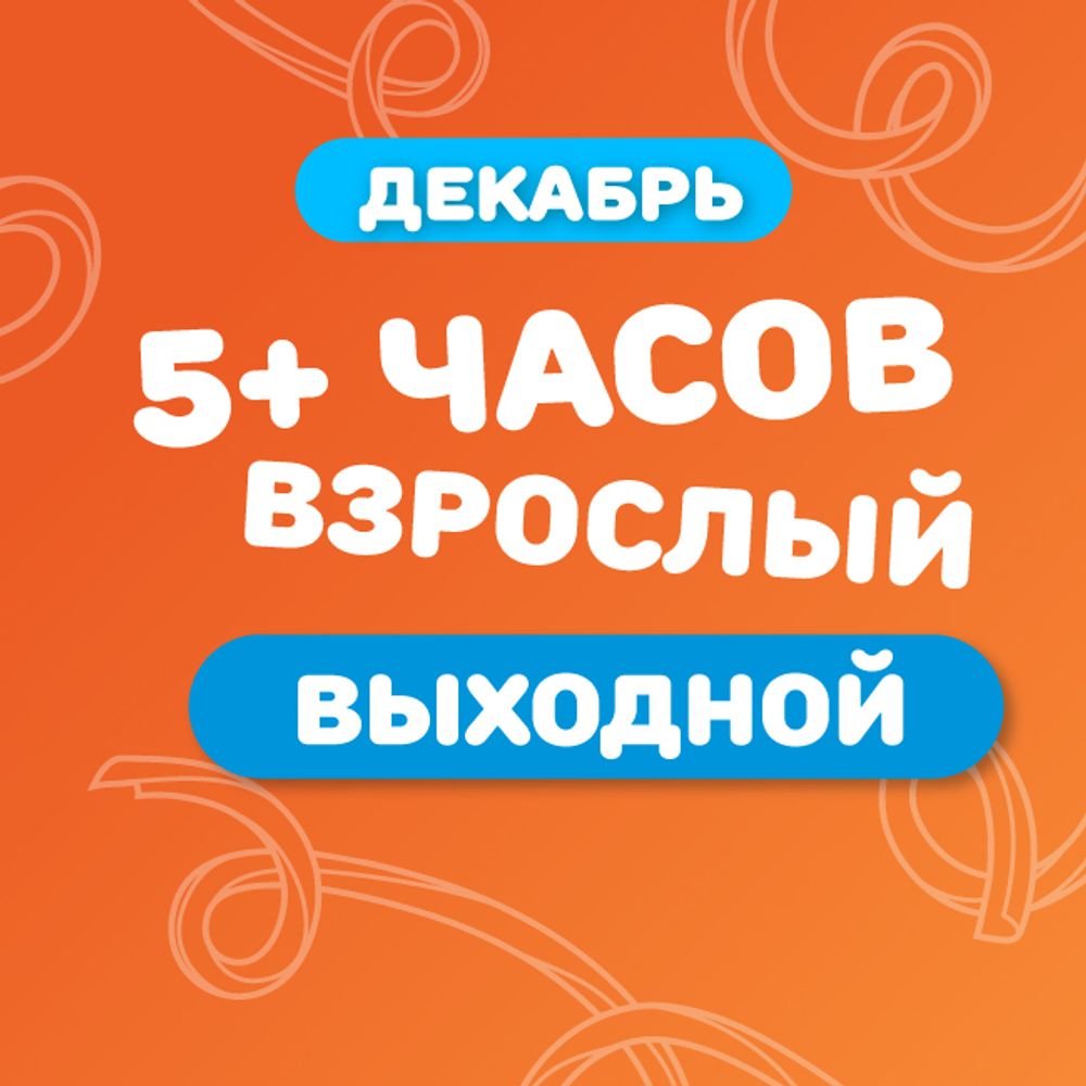 Взрослый билет на тариф "5+ часов" (выходные дни) в декабре
