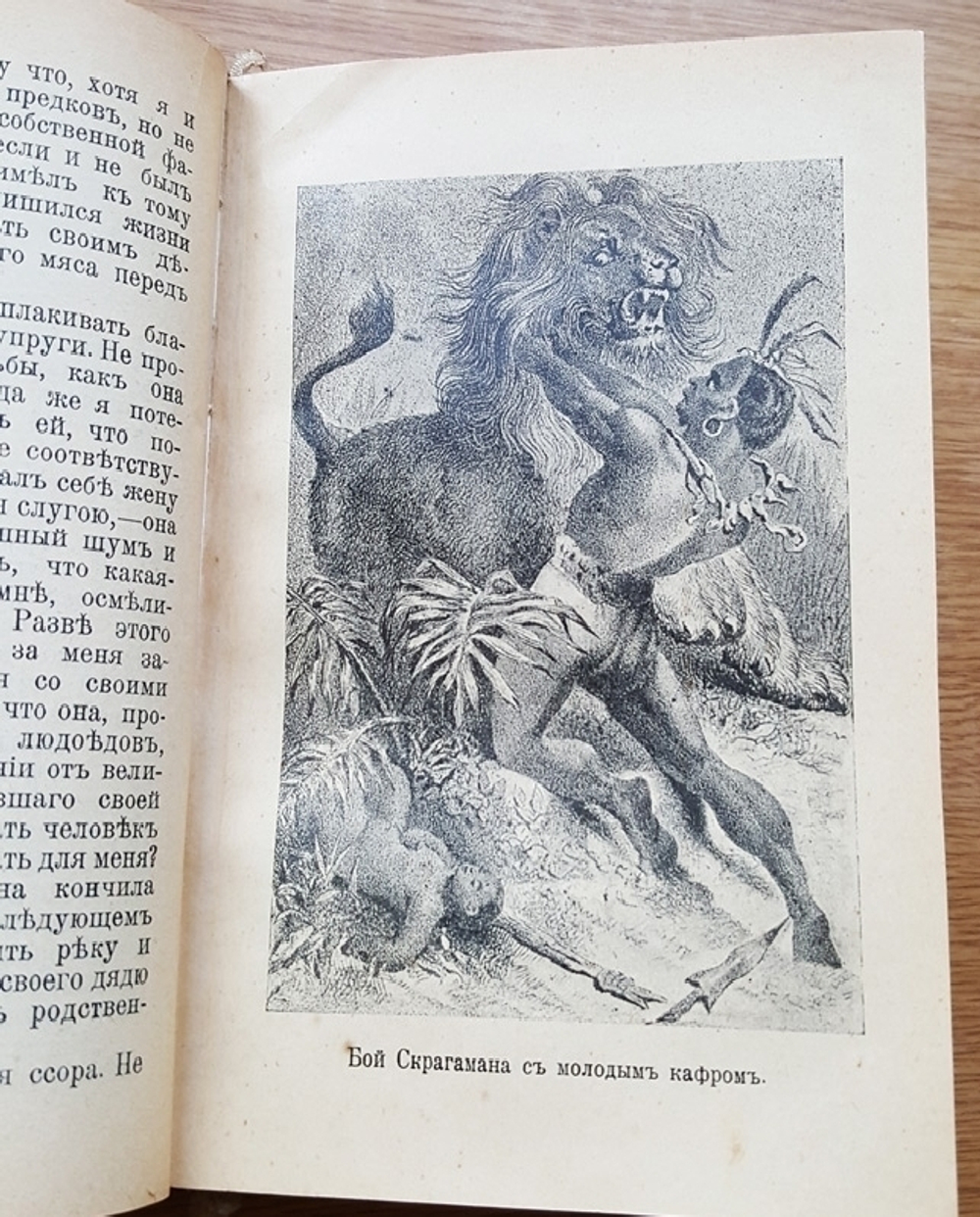 "Приключения шести лесных четвероногих". Джеймс Гринвуд. 1906г. - антикварное издание