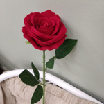 Красная бархатная роза