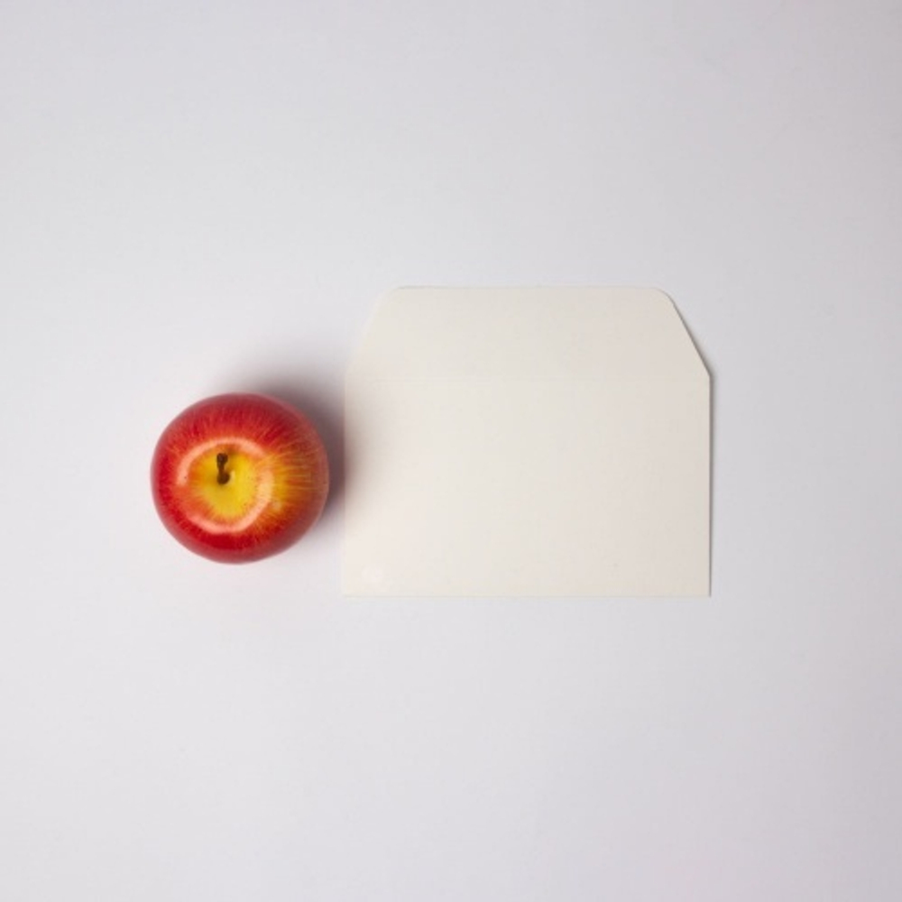 Конверты, 17x10, белый матовый