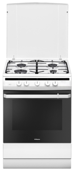 Кухонная плита Hansa FCGW61000