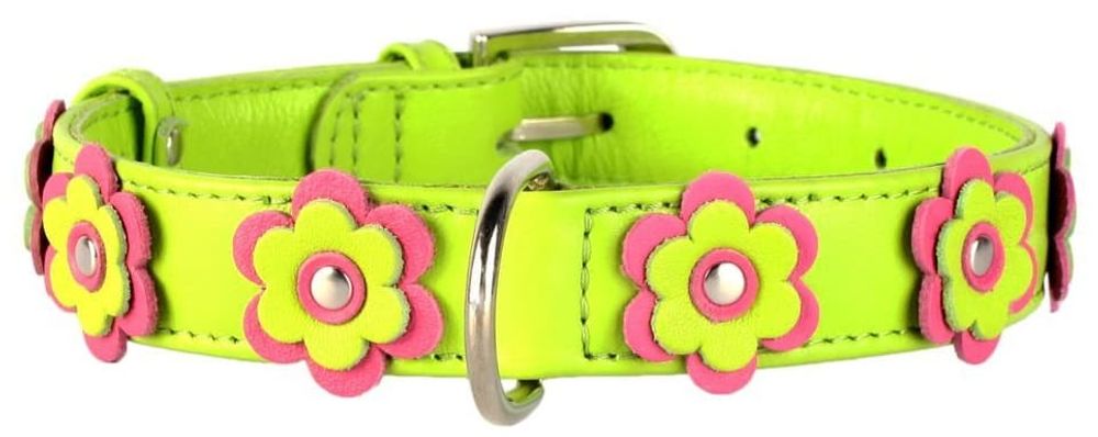 Ошейник "CoLLaR Glamour" с украшением аппликация (ширина 25мм, длина 38-50см) зеленый Ошейник "CoLLaR Glamour" с украшением аппликация (ширина 25мм, длина 38-50см) зеленый