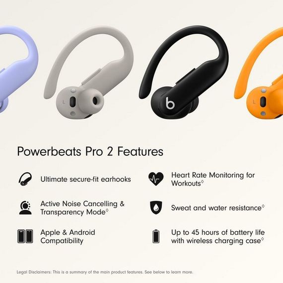 Беспроводные TWS-наушники Beats Powerbeats Pro 2 (Jet Black)