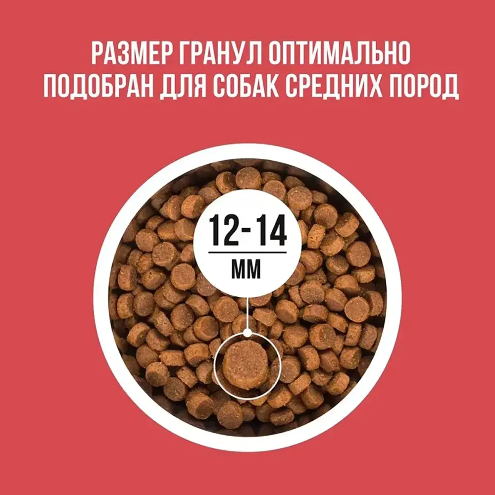 Уценка! Срок 27.08.26/ Сухой корм BOWL WOW для собак средних пород с индейкой, курицей, рисом и свеклой