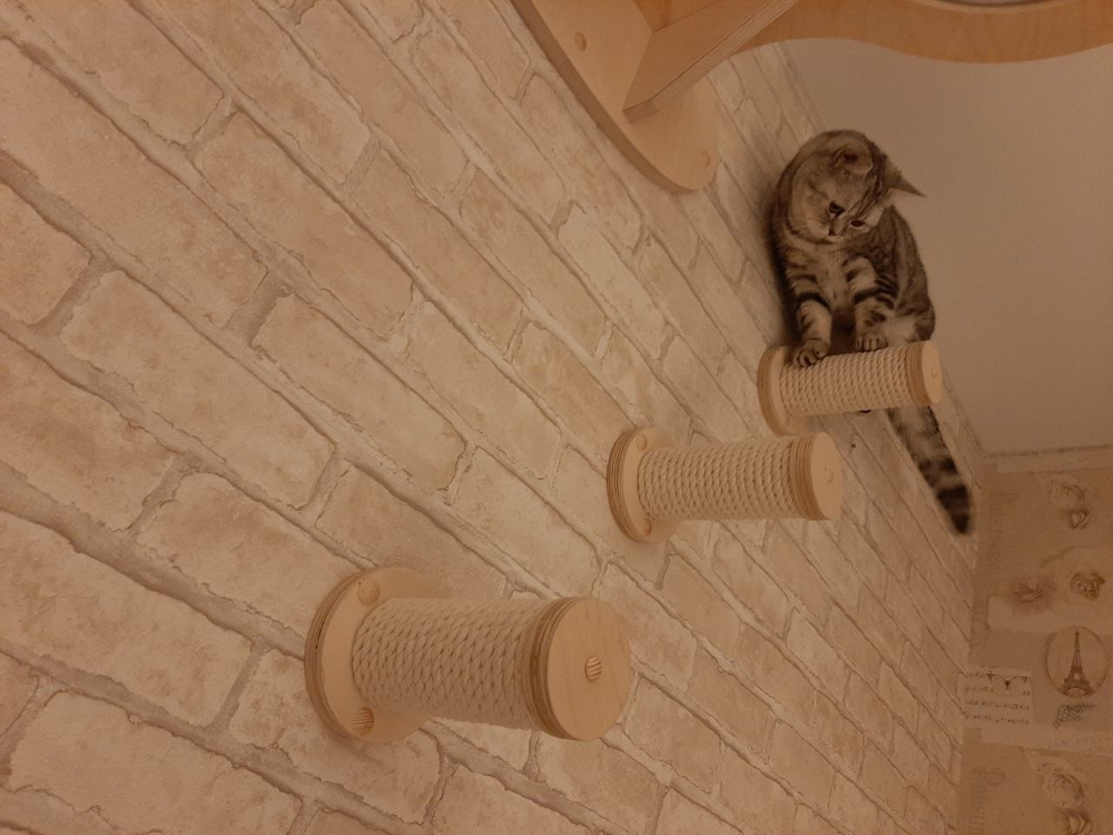 Комплект из трех круглых ступенек