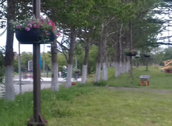 Обруч-840, цветочница для опоры (столба)