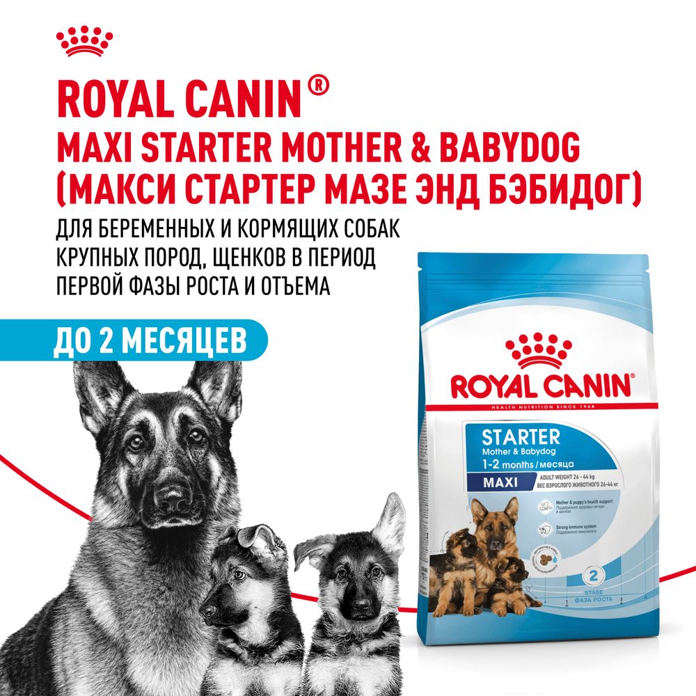 Сухой корм Royal Canin Maxi Starter для щенков крупных пород до 2-х месяцев, беременных и кормящих сук Сухой корм Royal Canin Maxi Starter для щенков крупных пород до 2-х месяцев, беременных и кормящих сук