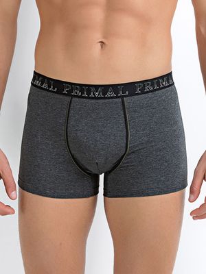 Мужские трусы B230 Boxer Primal