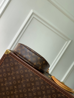 Louis Vuitton Sunset Bag