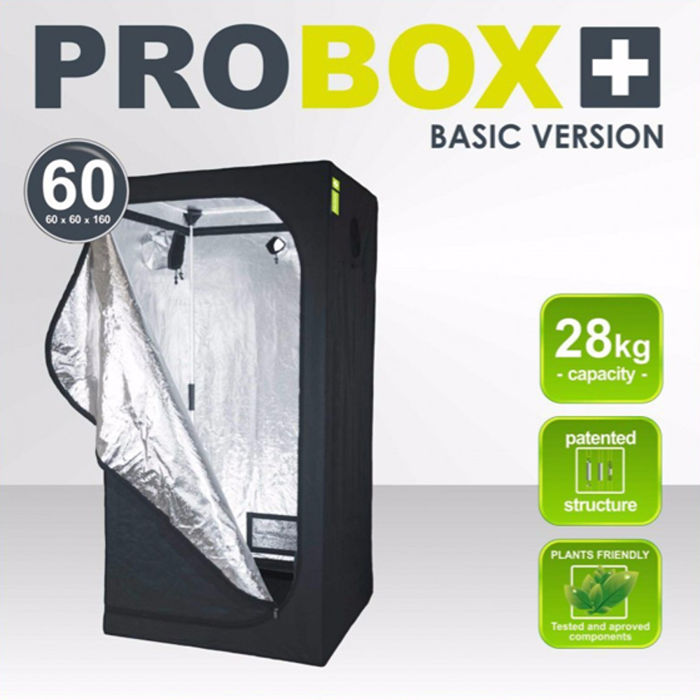 PROBOX BASIC