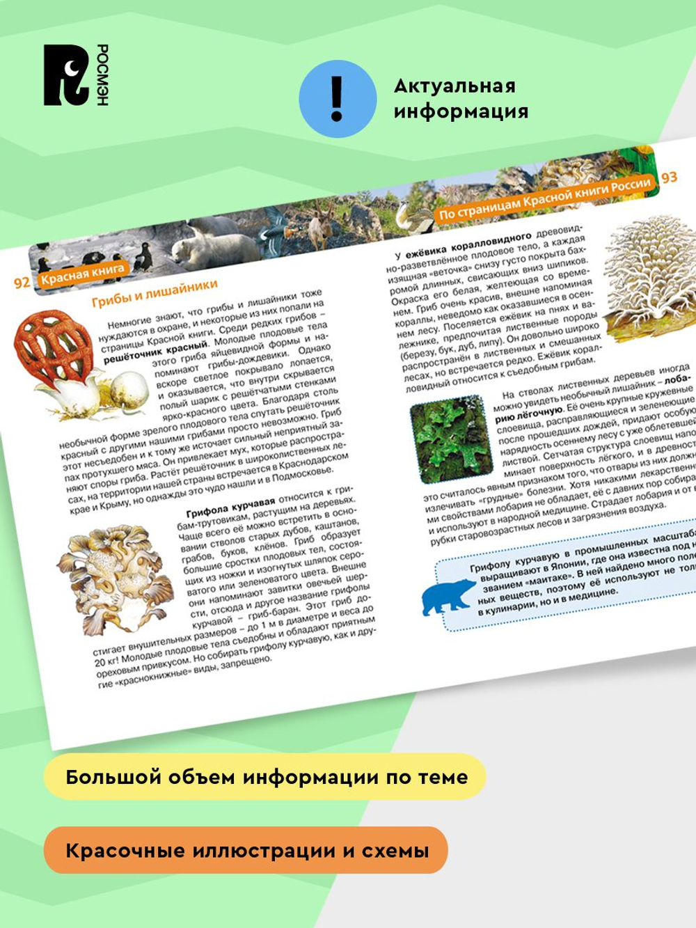 Красная книга (ДЭР)