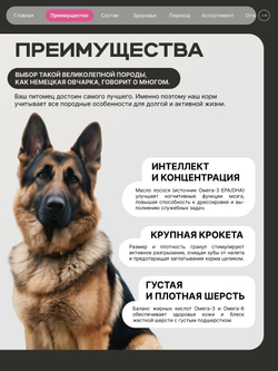 Корм сухой для взрослых собак породы Немецкая овчарка, премиум полнорационный комплекс, с говядиной, 12 кг, QUATTRO