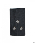 Фальшпогоны черные вышитые серые звезды ст. лейтенант