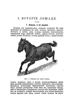 Животноводство. Учение о том, как с пользой для людей разводить, содержать и лечить лошадей, коров, овец, свиней, коз, кроликов и птиц | Майстрах Владимир Францевич