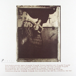 Pixies / Surfer Rosa (LP)