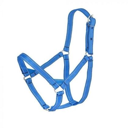 Недоуздок, 2-ой капрон 25 мм светоотражающий, раз. Full