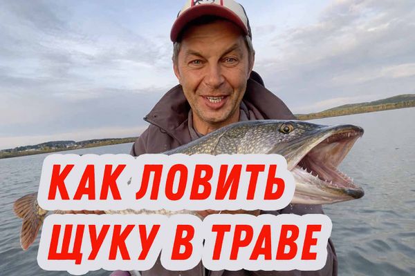 Секреты ловли щуки в траве. Рабочая схема и приманки