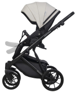 Детская коляска Riko Basic Montana Ecco 3 в 1 31 Light Silver-Black